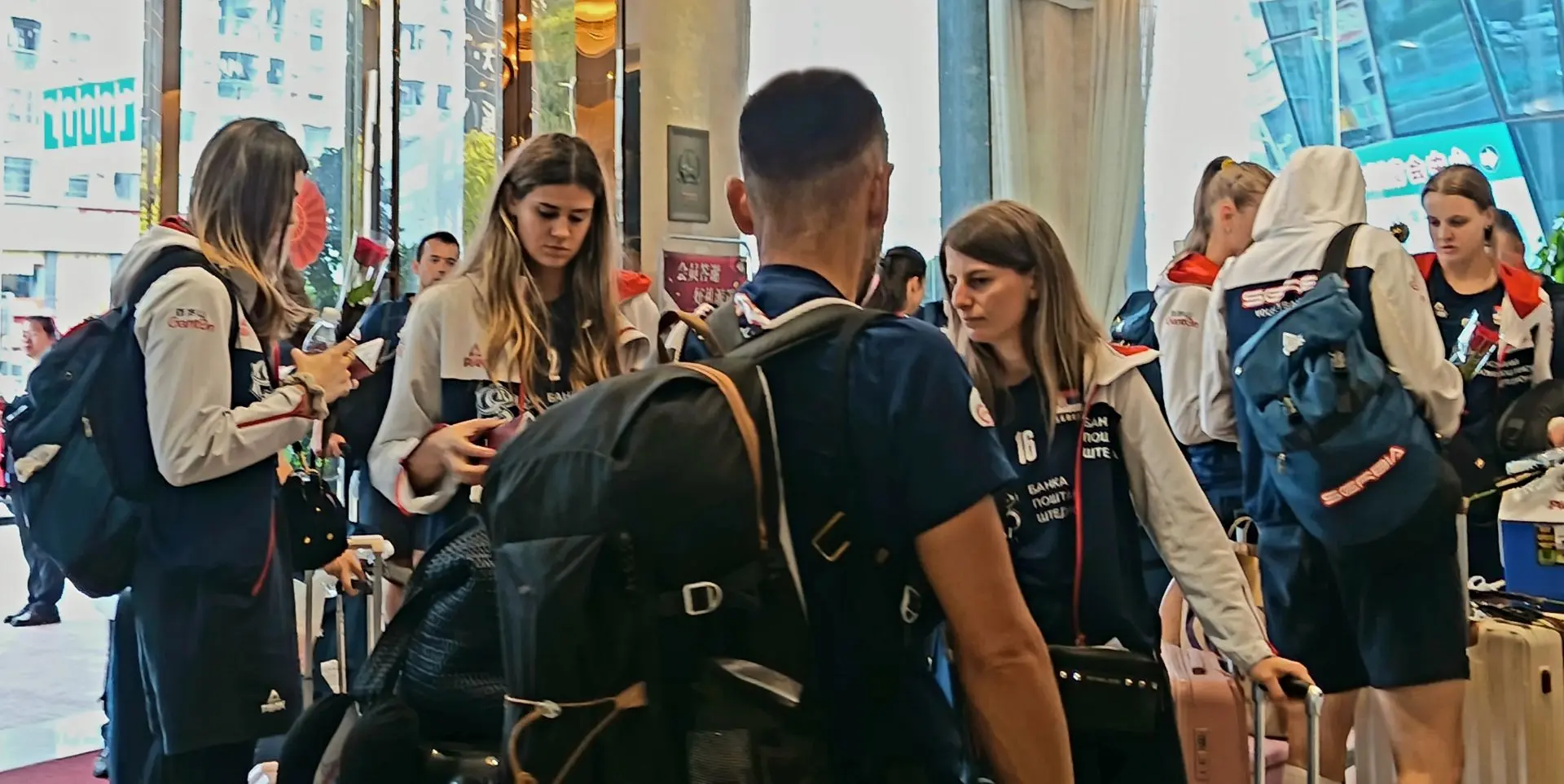 热爱排球的, 将登上湾区, img 热爱排球的, 将登上湾区, img