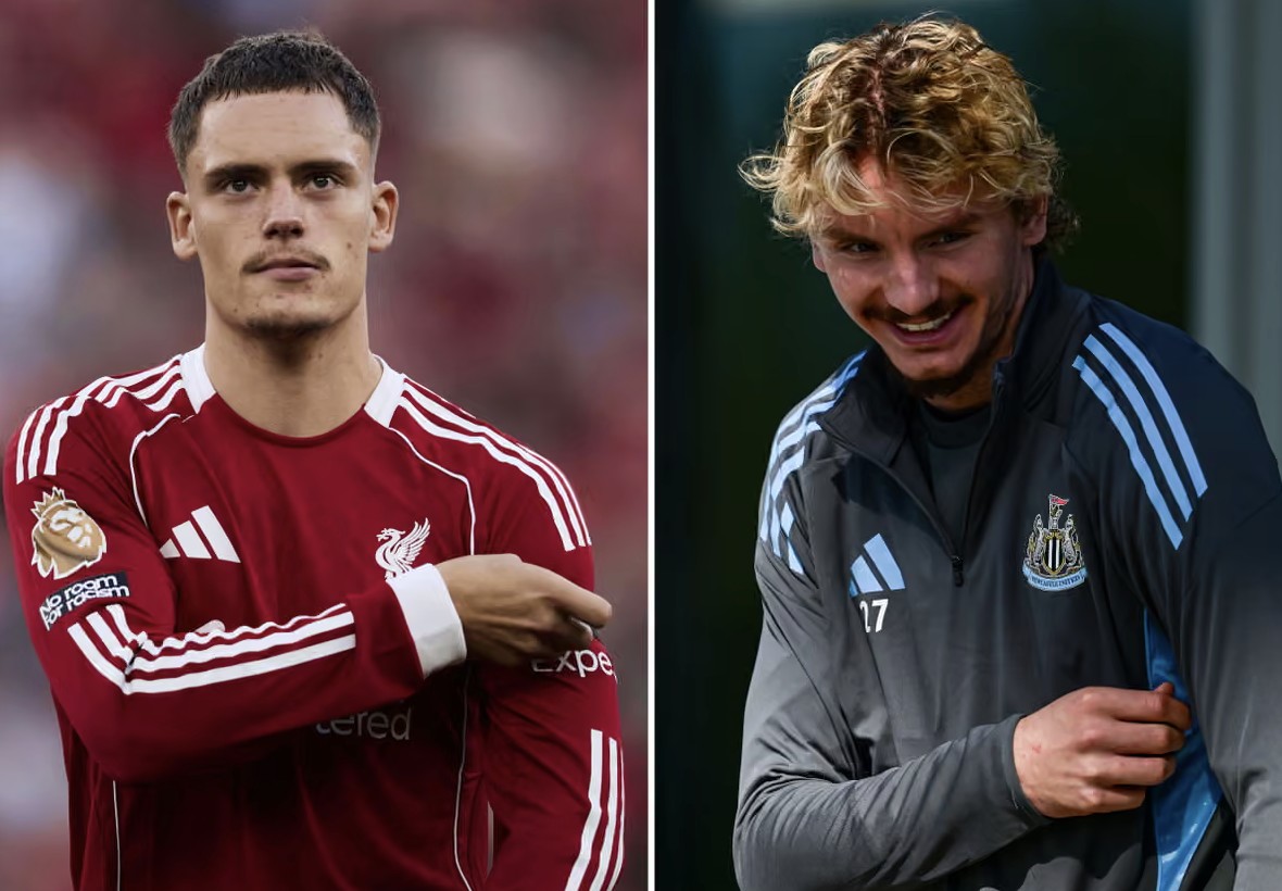 难以预测 难以预测